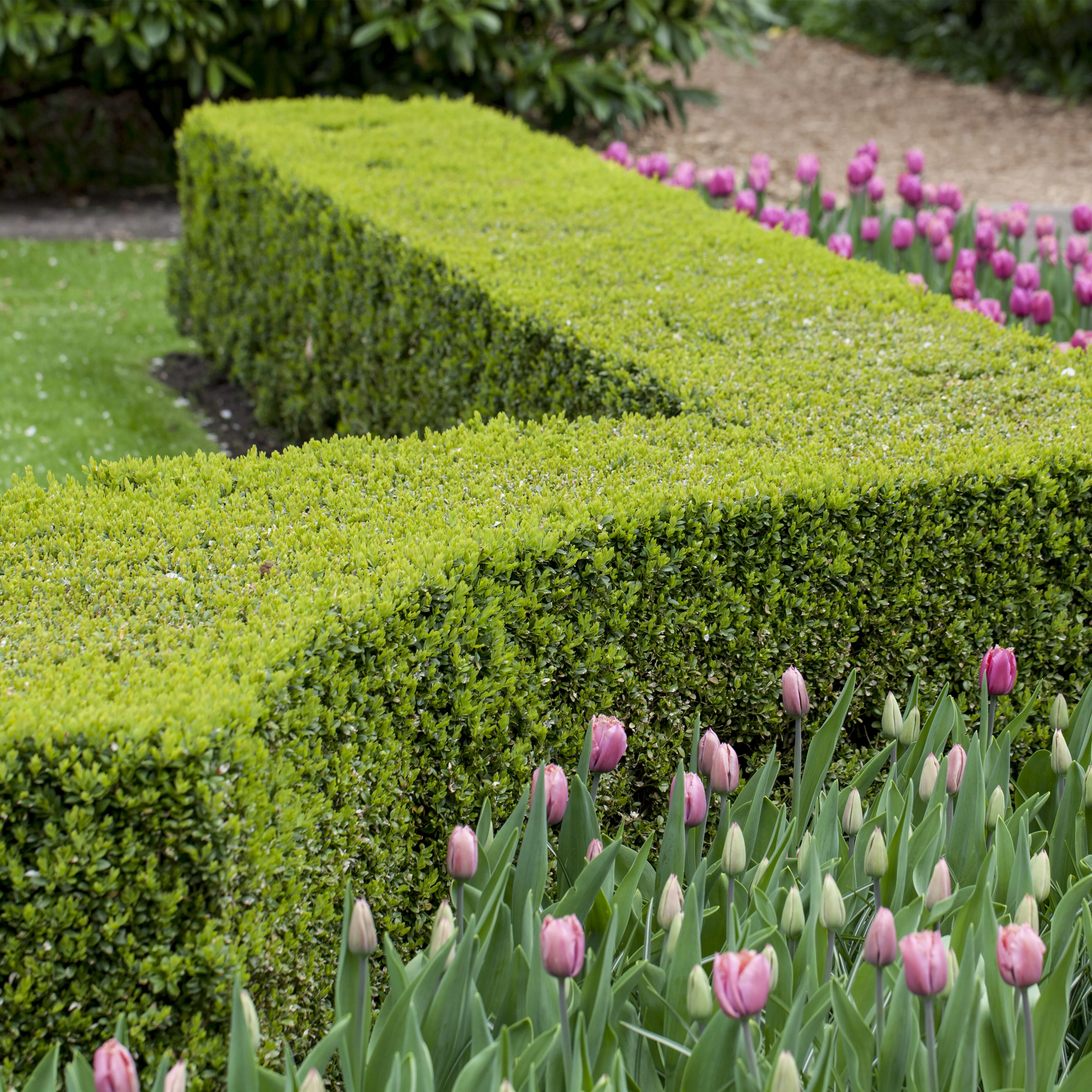 Gartenräume optimal gestalten