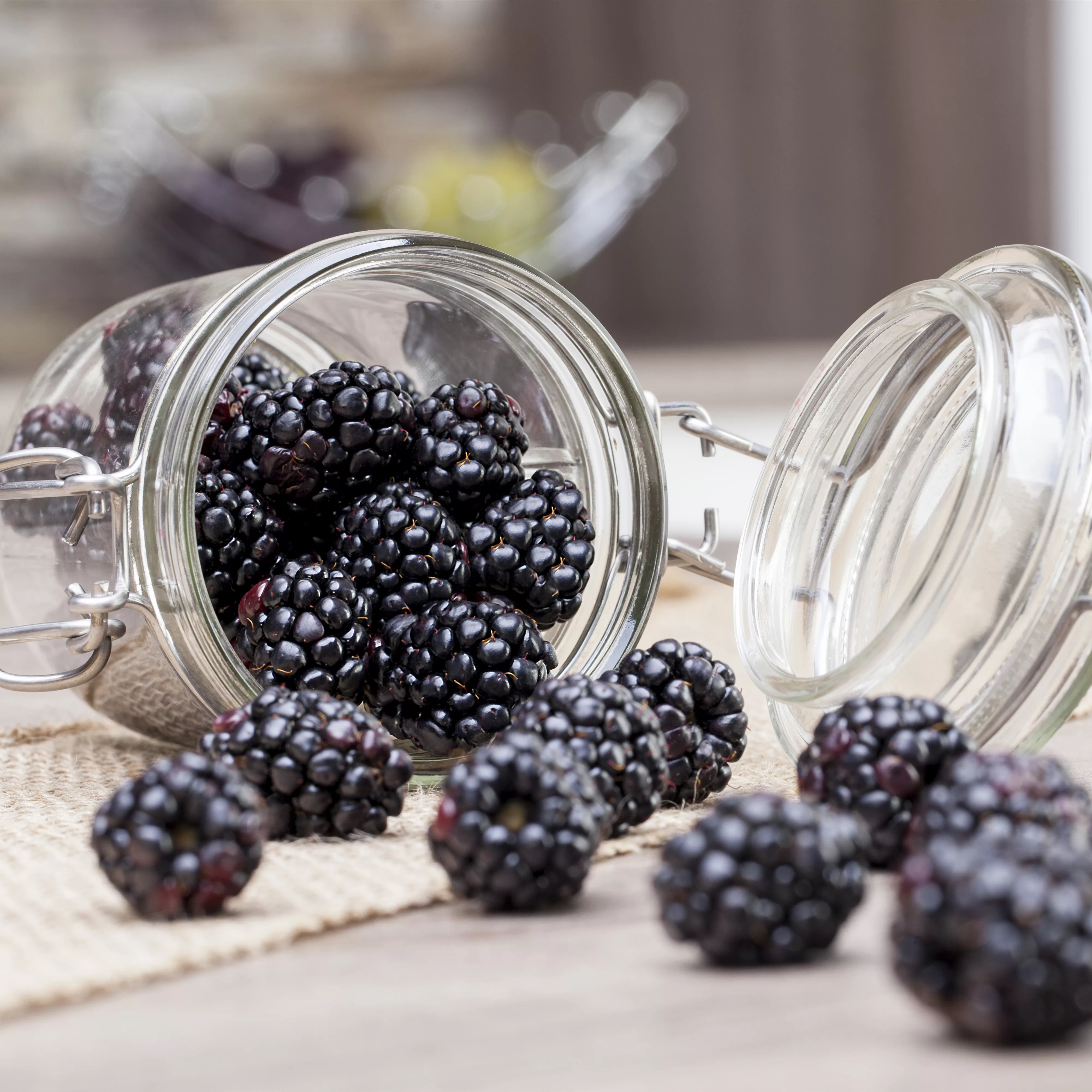 Obst im Kübel: Brombeeren