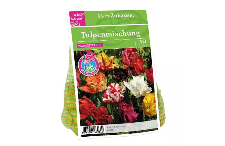 Blumenzwiebel Tulpe Papageien Mischung