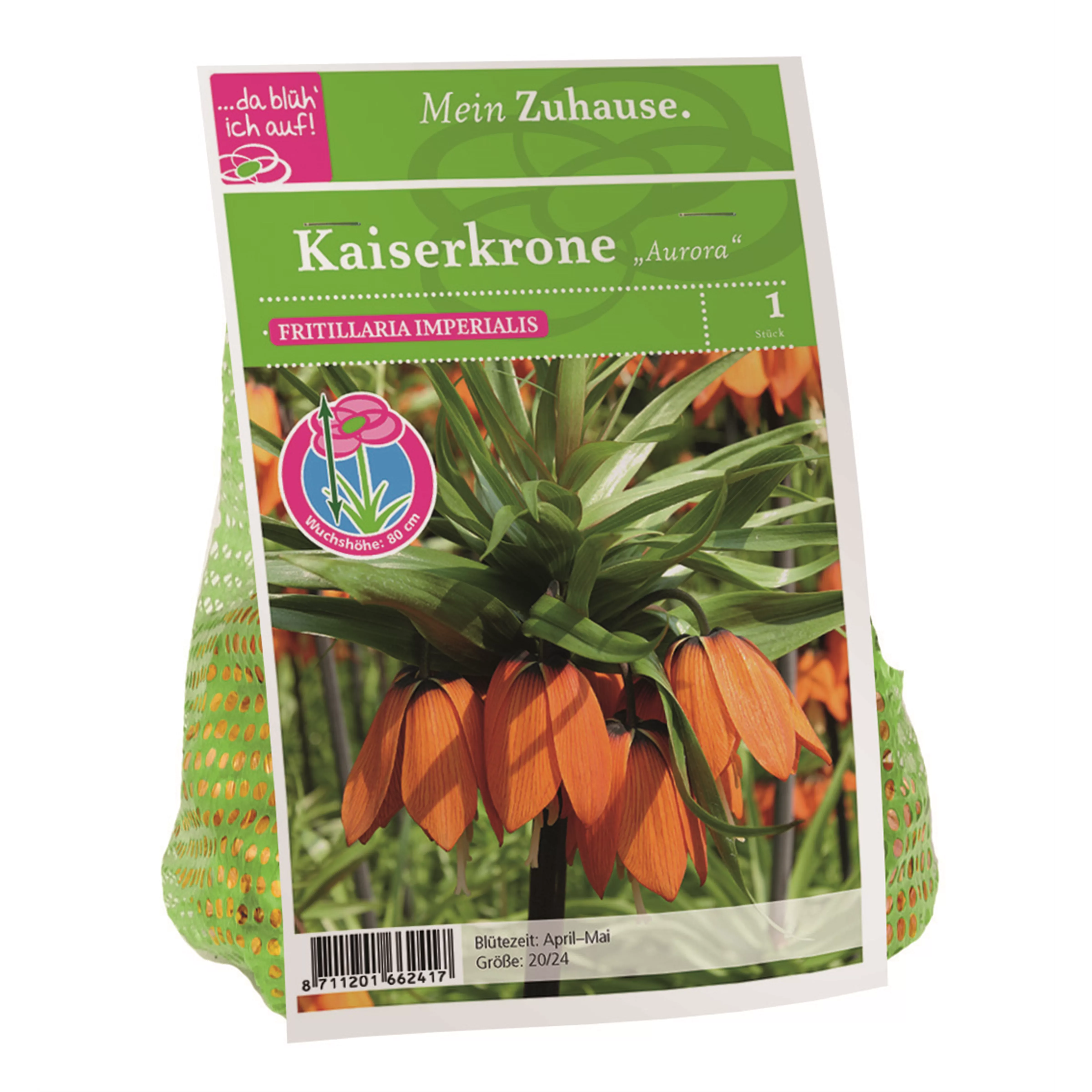 Blumenzwiebel Kaiserkrone orange