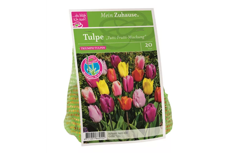 Blumenzwiebel Tulpe Tutti Frutti Mischung