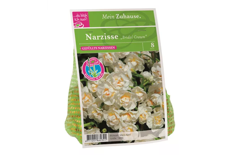 Blumenzwiebel Narzisse 'Bridal Crown'